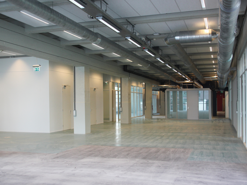 Witte Dame Fontys