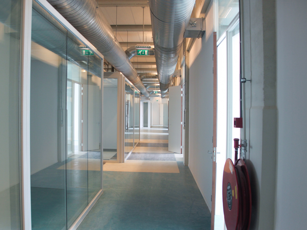 Witte Dame Fontys